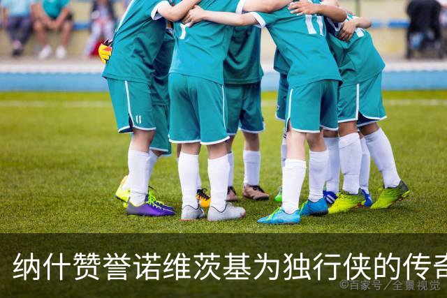 纳什赞誉诺维茨基为独行侠的传奇人物